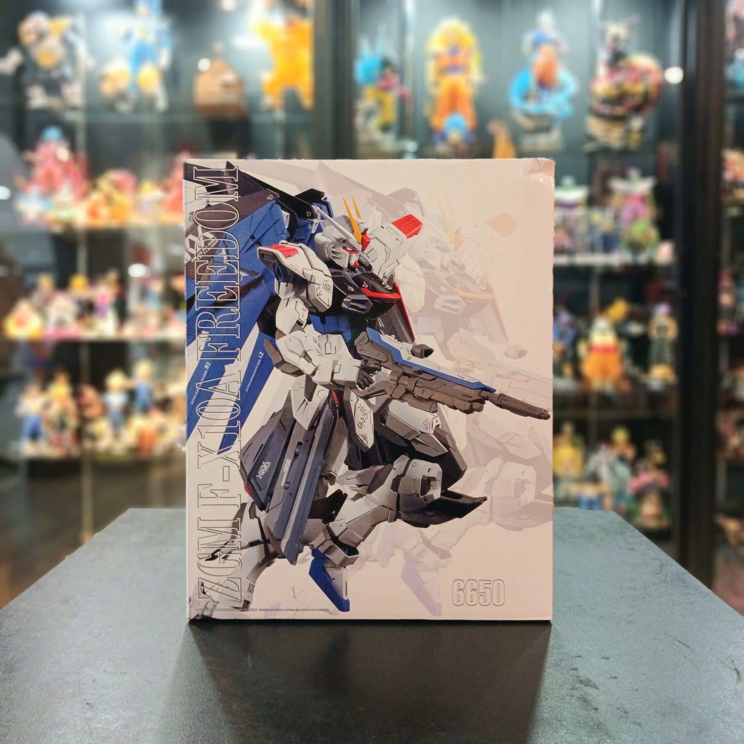 GUNDAM-ZGM F-X10A FREEDOM